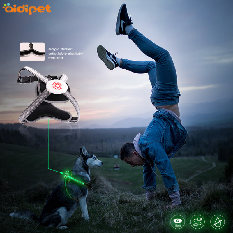RGB Light up Dog Harness Multiple Color Led Rechargeable Dog Harness Luminous Safety Adjustable Pet Harness