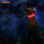 Led Light up Dog Collar Light Metal Buckle Wholesale Pet Supply Luminous Dog Collars