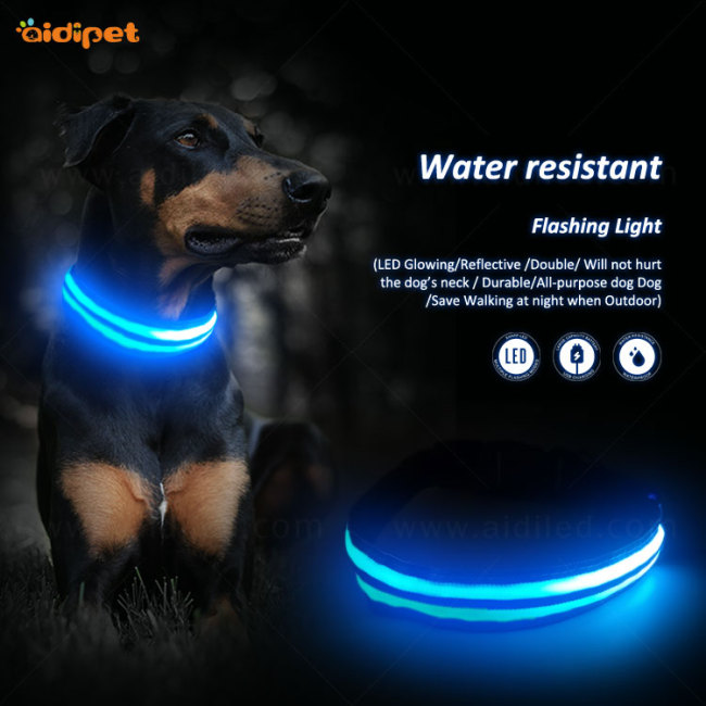 Collar De Perro Led Nylon Dog Collars Light Up Outdoor USB Rechargeable Safety in Dark Pet Collar with Led