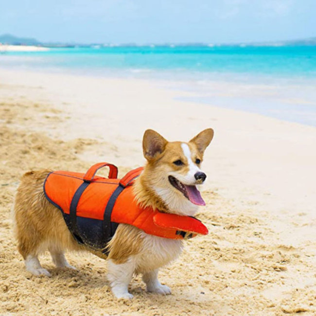 2022 Hot Sale Dog Life Jacket Waterproof Comfortable Dogs Life Vest for Pets Swimming