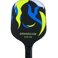 Carbon outdoor sports racket fiber pickleball paddle with ice hockey