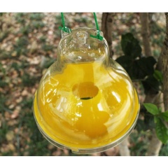 Wasp Trap, Discreet Design to Hide Insect Remains, Four Entry Points to Trap Wasps & Yellow Jackets