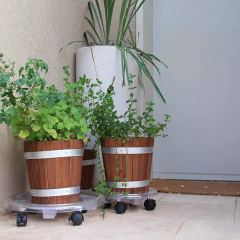 Transparent Flower Plant Pot Mover Stand, Plant Pot Mover Transparent, Rolling Planting Caddy Transparent