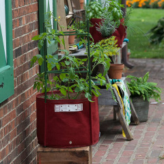 Tomato Fabric Planter Bag, 15 Gallon, Union Red