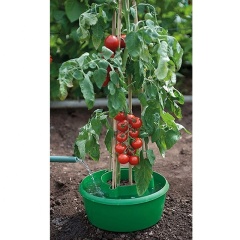 Self Watering Tomato Planter Plant Halos Growing Tomato Plants in Pots Garden Pot Planter