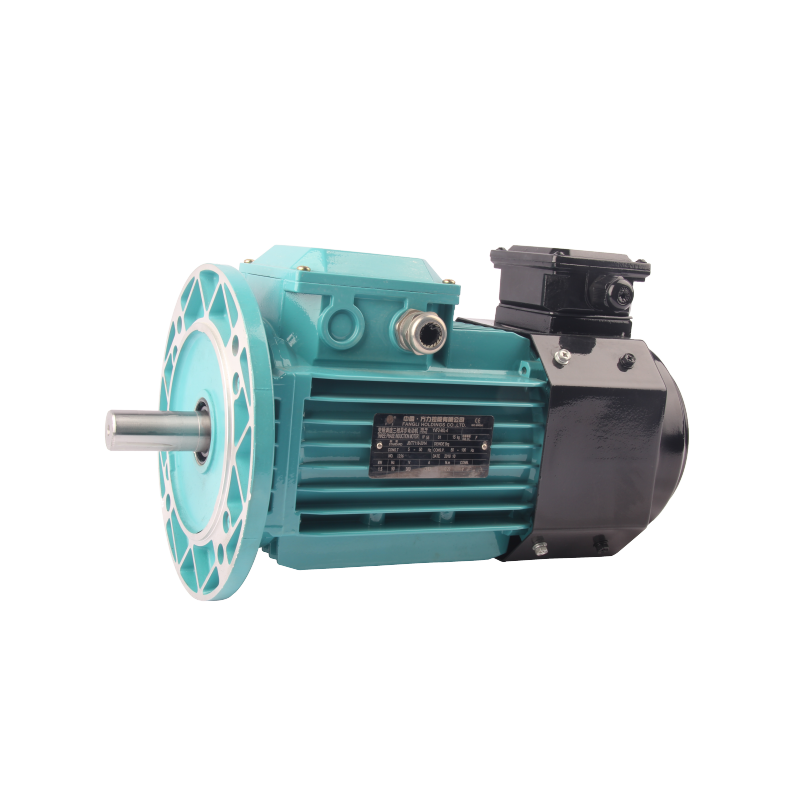 Trifazni asinhroni izmenični motor s spremenljivo frekvenco serije FLAV/FLFV/FLGV