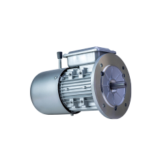 FLAJ/FLFJ/FLGJ-serie elektromagnetische remmen driefasige asynchrone AC-motor