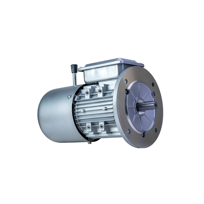 FLAJ/FLFJ/FLGJ series electromagnetic braking three phase asynchronous AC motor