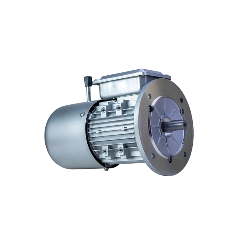 FLAJ/FLFJ/FLGJ series electromagnetic braking three phase asynchronous AC motor
