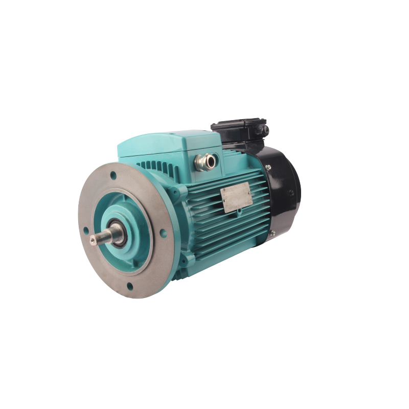 Trifazni asinhroni izmenični motor s spremenljivo frekvenco serije FLAV/FLFV/FLGV