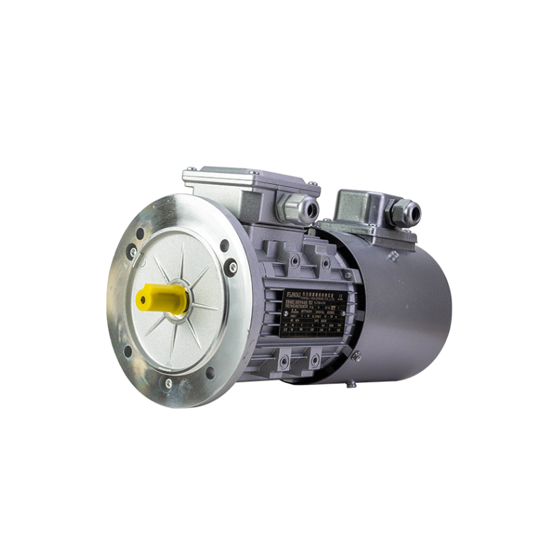 FLV series variable frequency three phase asynchronous AC motor