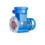 YBX3 series premium efficiency flameproof three phase asynchronous AC motor