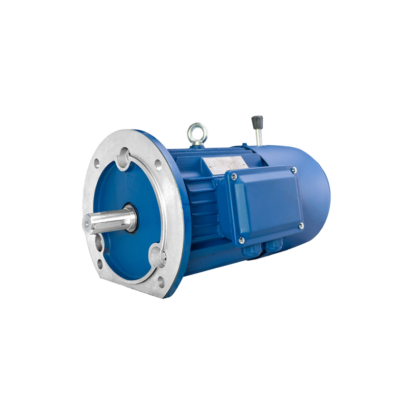 FLJ series electromagnetic braking three phase asynchronous AC motor