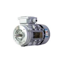 FL(IE1) series premium efficiency three phase asynchronous motor