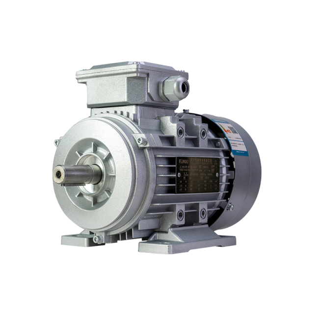 FL(IE1) series premium efficiency three phase asynchronous motor