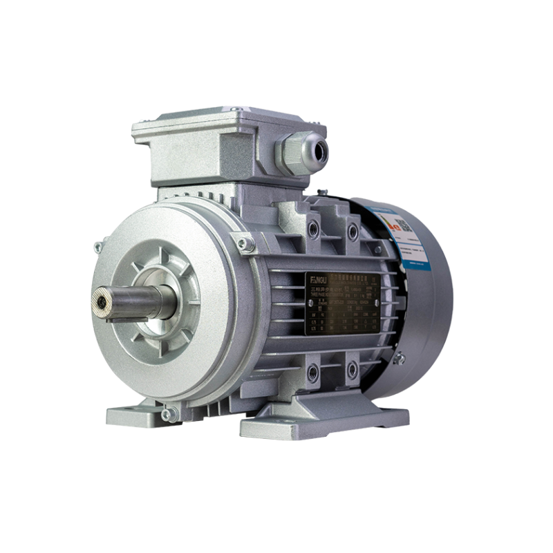 FL(IE1) series premium efficiency three phase asynchronous motor