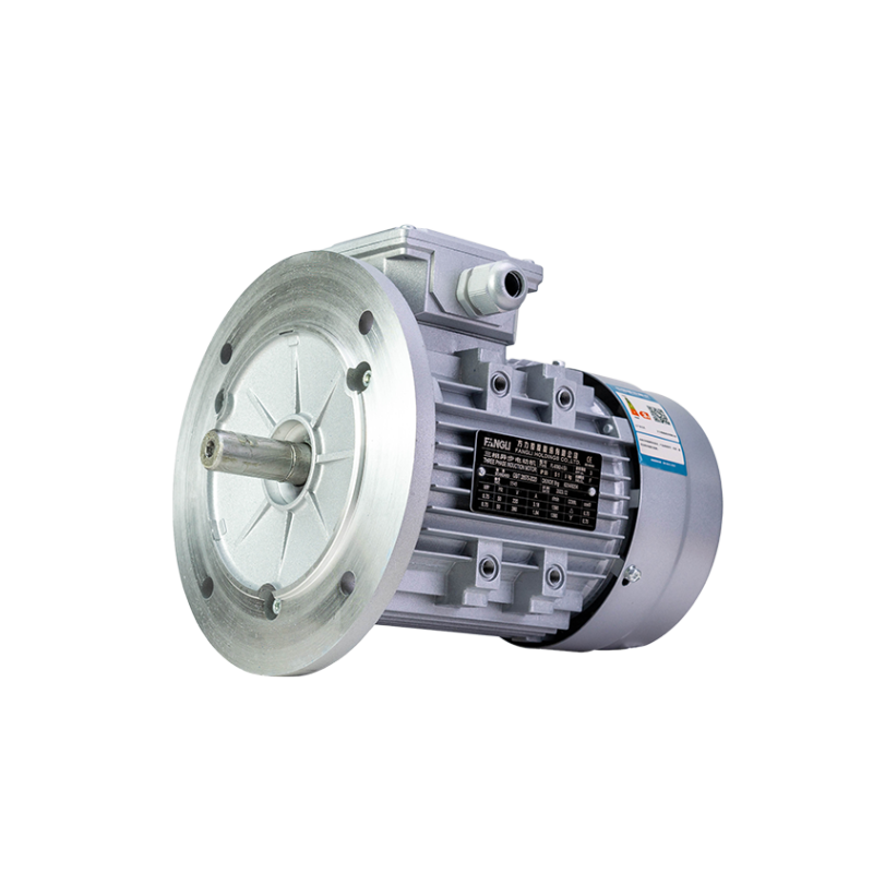 FL(IE1) series premium efficiency three phase asynchronous motor