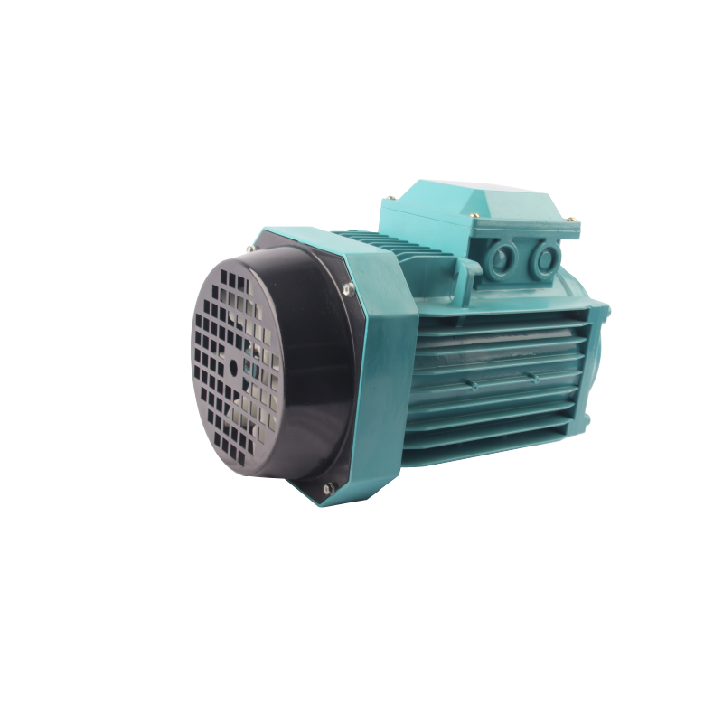 FLA2/FLF2/FLG2-serien premiumeffektiv trefas asynkron AC-motor