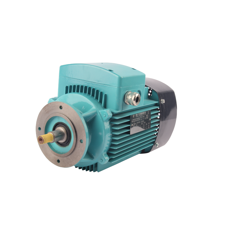 Trifazni asinhroni AC motor serije FLZ za menjalnik