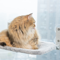 Manufacturer wholesale sucker hanging foldable window cat hammock