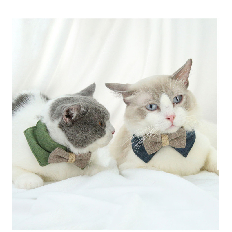 Manufacturer wholesale green blue coffee cat collar with bow-knot
