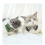 Manufacturer wholesale green blue coffee cat collar with bow-knot