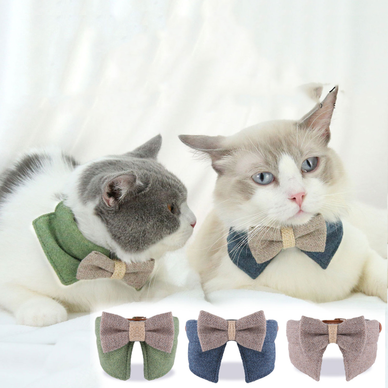 Manufacturer wholesale green blue coffee cat collar with bow-knot