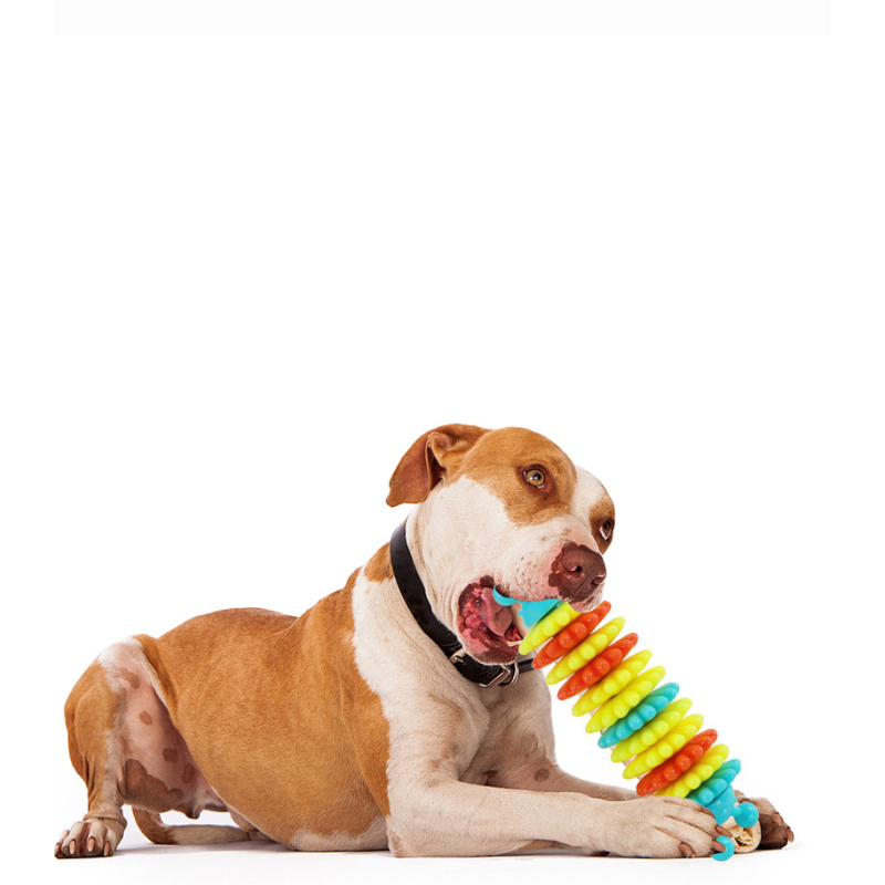 Manufacturer wholesale clean teeth feeder dog tpr chew toys caterpillar design