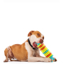 Manufacturer wholesale clean teeth feeder dog tpr chew toys caterpillar design
