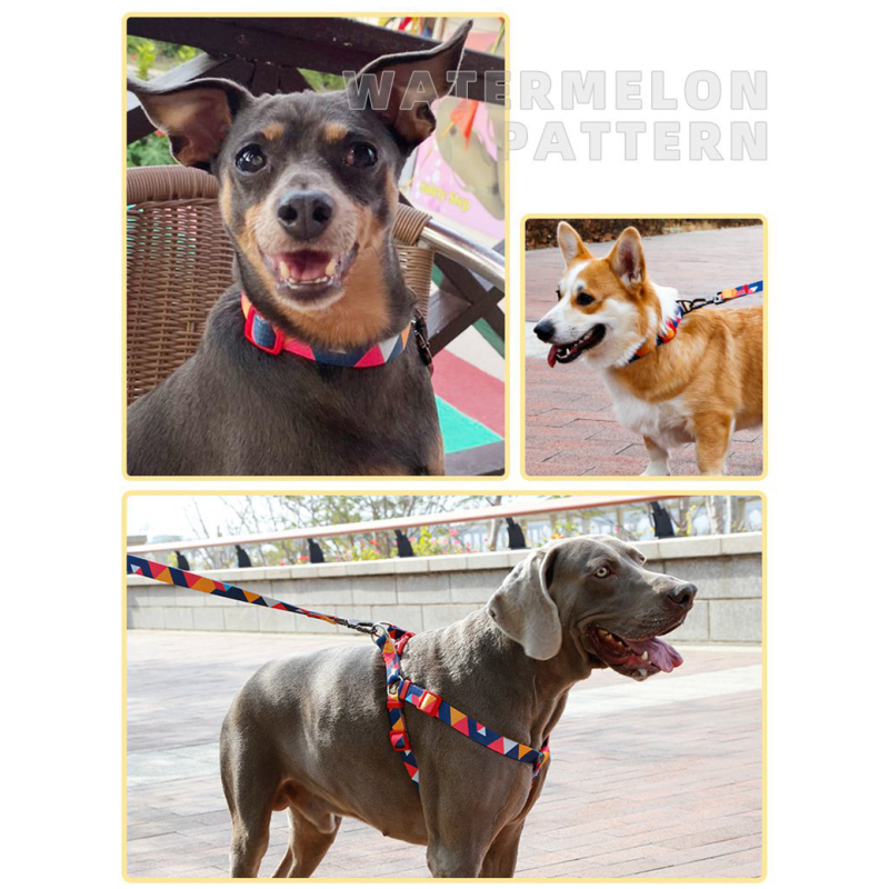 Manufacturer wholesale custom logo dog collars multi-color pattern