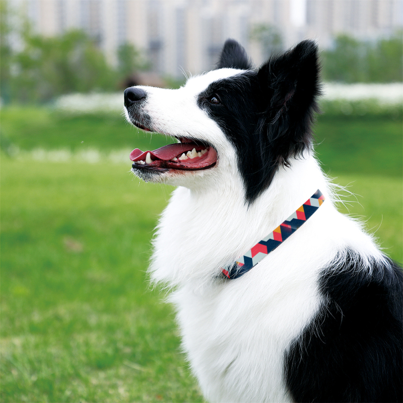 Manufacturer wholesale custom logo dog collars multi-color pattern