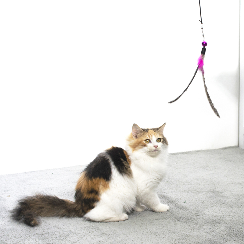 Wholesale manufacturer cheap interactive pole cat teaser feather toys