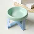 Light Green 1