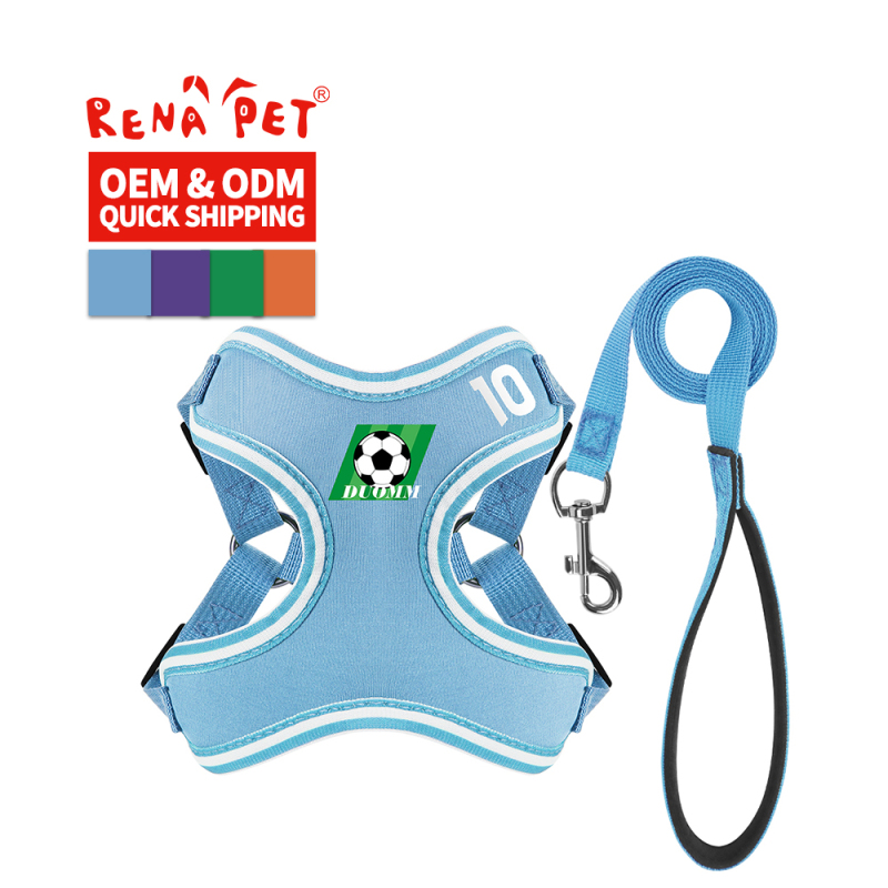 Wholesale Breathable Dog Harness Vest and Leash Set