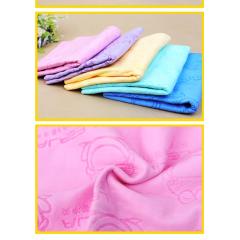 Manufacturer wholesale soft carrier portable cat pet dog towel quick-drying