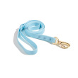 sky blue leash