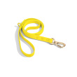 Yellow leash