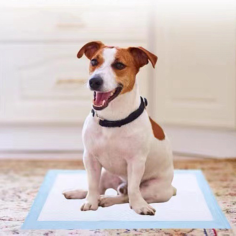 Wholesale Customized Leak-proof Disposable Training Puppy Pet Dog Pee Pad