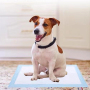Wholesale Customized Leak-proof Disposable Training Puppy Pet Dog Pee Pad