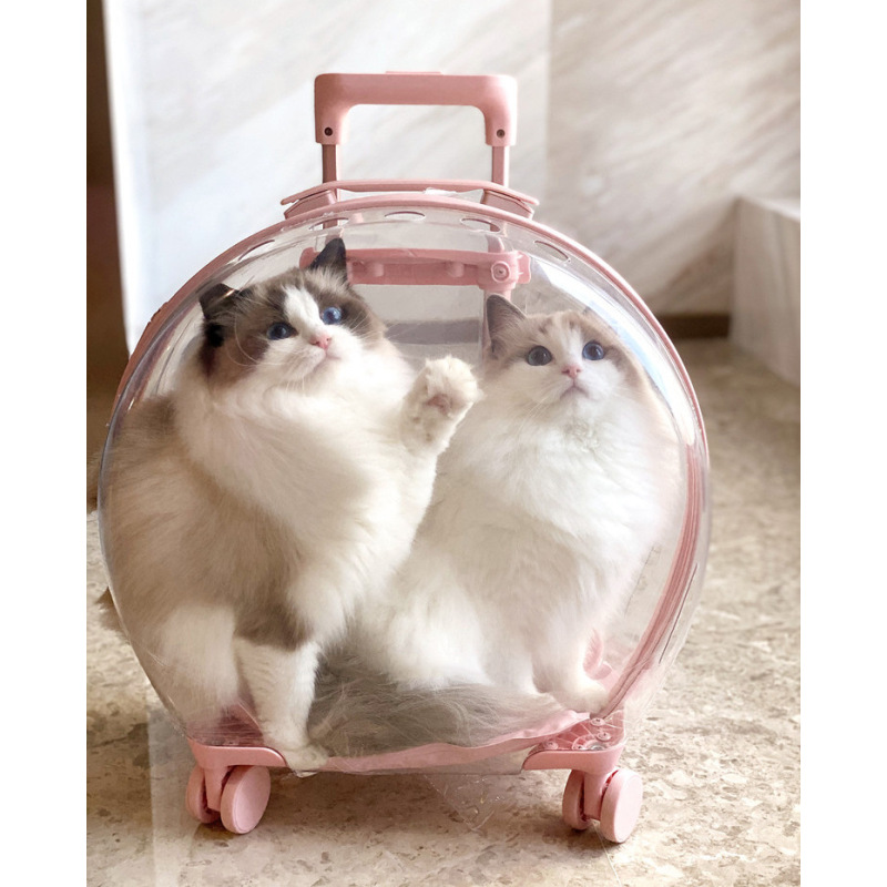 Manufacturer wholesale breathable space backpack cat carring bag with wheel trolley