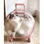 Manufacturer wholesale breathable space backpack cat carring bag with wheel trolley