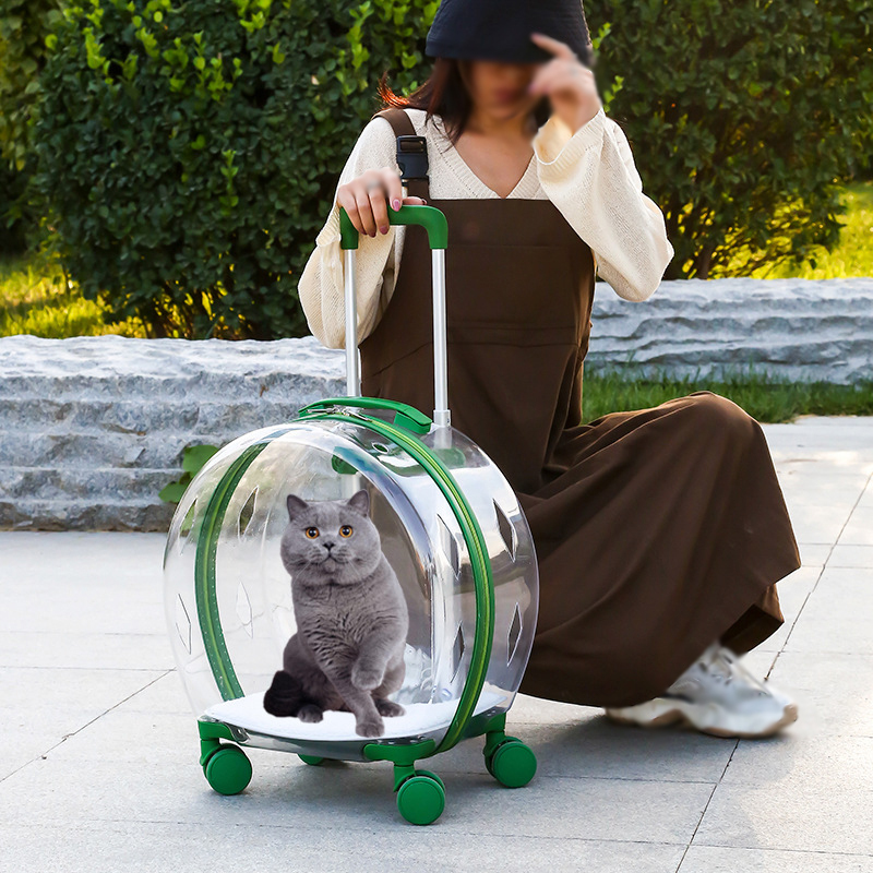 Manufacturer wholesale breathable space backpack cat carring bag with wheel trolley