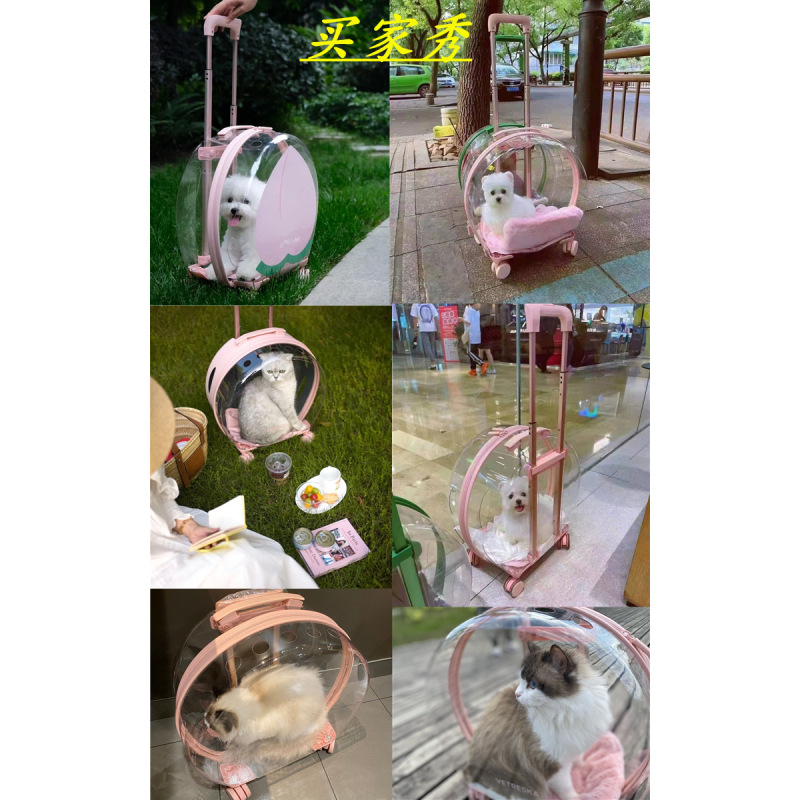 Manufacturer wholesale breathable space backpack cat carring bag with wheel trolley