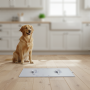 Wholesale Silicone Grey Easy Clean Cat Dog Pet Feeding Mat
