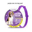 Purple for dog used
