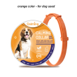 Orange for dog used