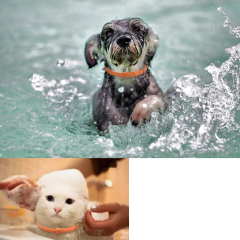 Manufacturer wholesale non-toxic adjustable anti-anxiety cat dog calming collar