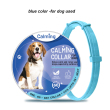 blue for dog used