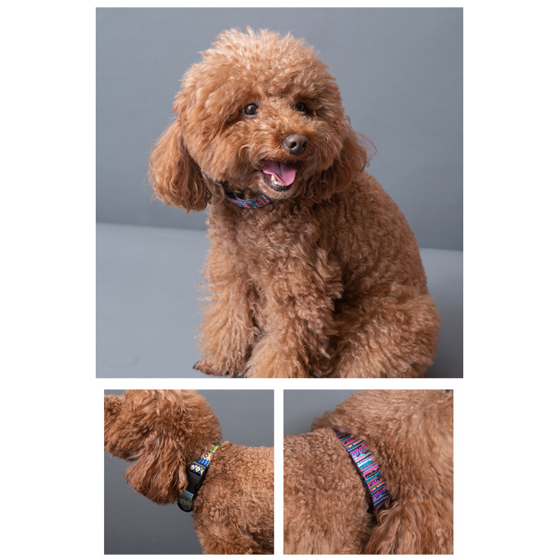 Manufacturer wholesale colorful design cheap adjustable dog collar and leash set