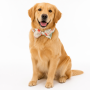 Wholesale Customized Adjustable Dog Collar Christmas